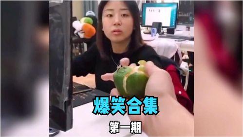 娱乐吃瓜喵姐视频大全